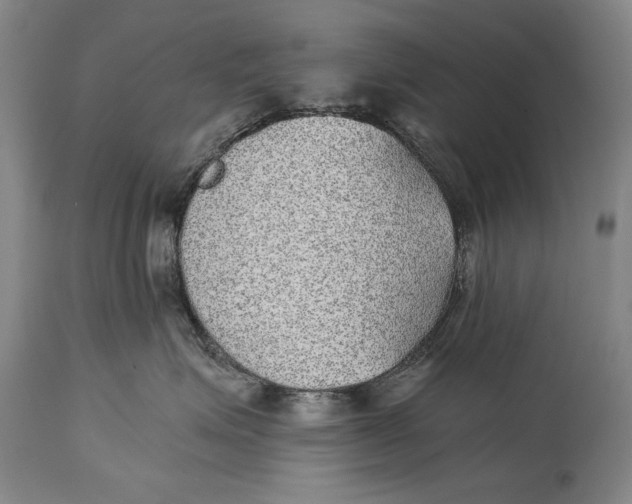 X0000114390623200911061516