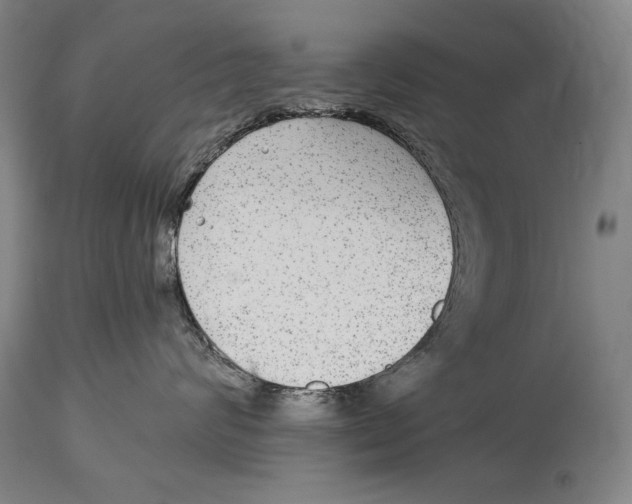 X0000114390624200911061516