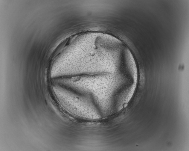 X0000114390626200911061515