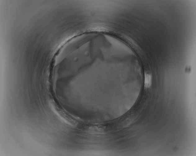 X0000114390627200911061515