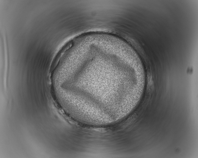 X0000114390628200911061515