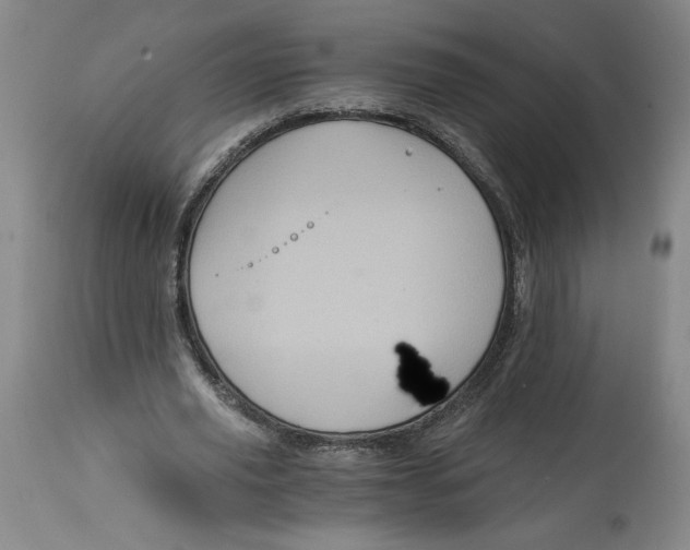 X0000114390629200911061515