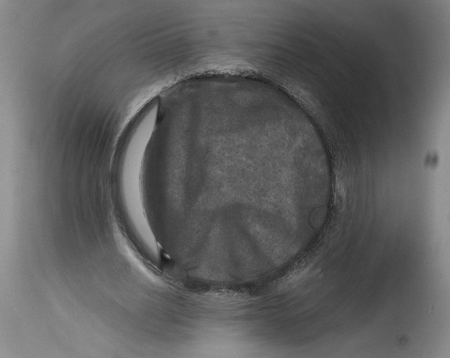 X0000114390630200911061515