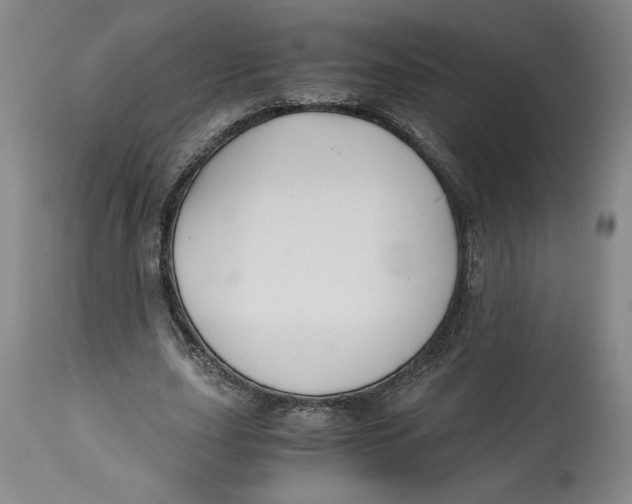 X0000114390631200911061515