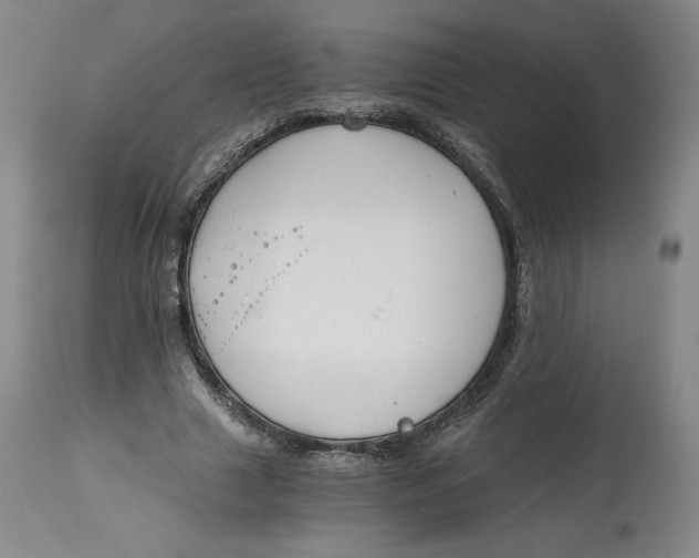 X0000114390633200911061515