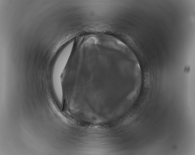 X0000114390634200911061515