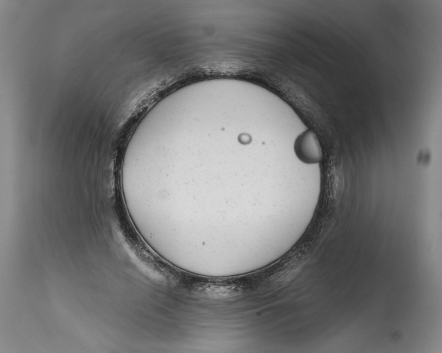X0000114390638200911061515