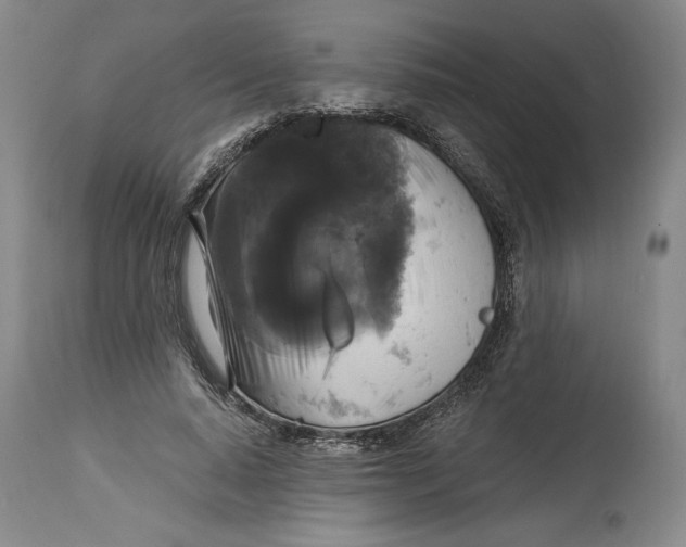 X0000114390640200911061515