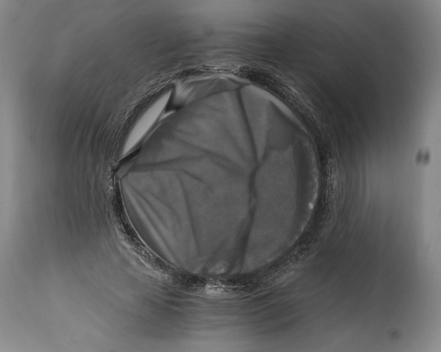 X0000114390641200911061515