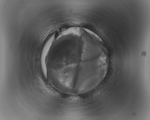 X0000114390642200911061515