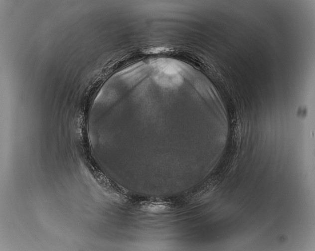 X0000114390643200911061515