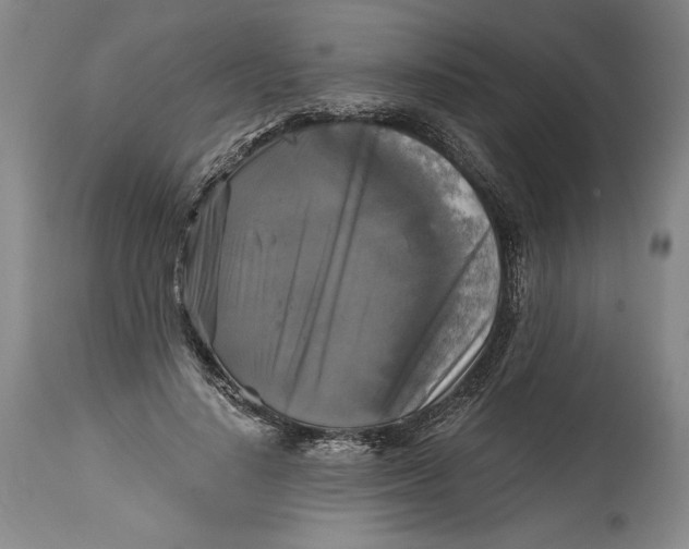 X0000114390644200911061515