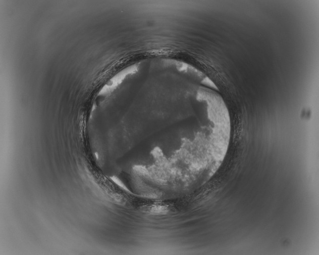 X0000114390647200911061516