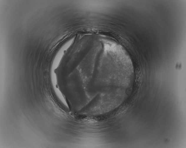 X0000114390648200911061516