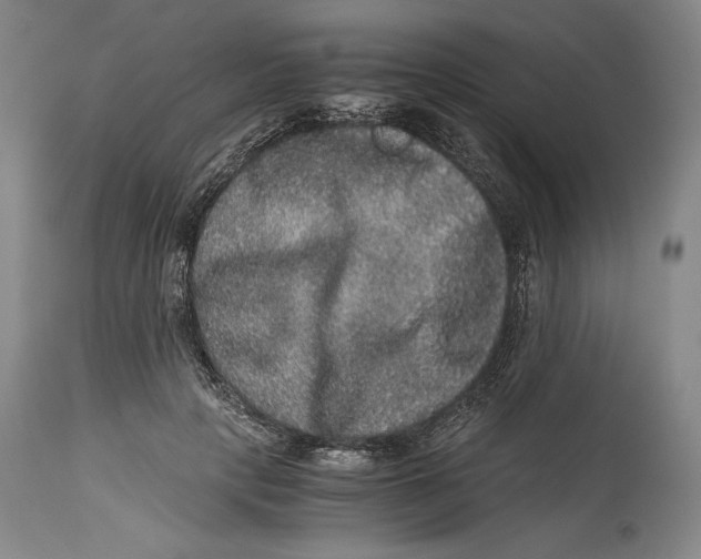 X0000114390649200911061516