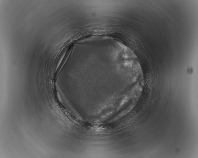 X0000114390650200911061516