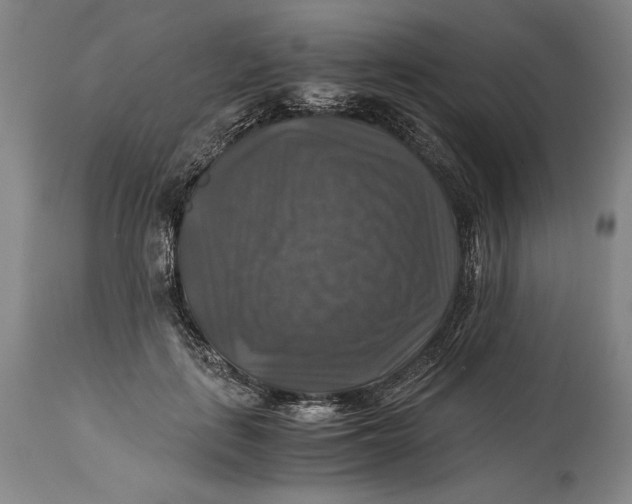 X0000114390651200911061516