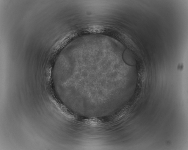X0000114390652200911061516