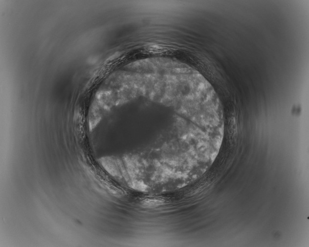 X0000114390653200911061516
