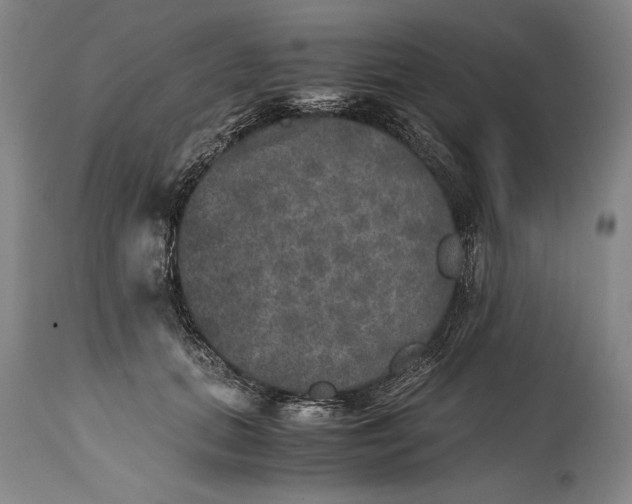 X0000114390655200911061516