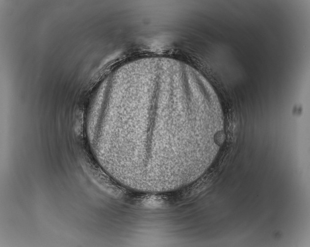 X0000114390656200911061516