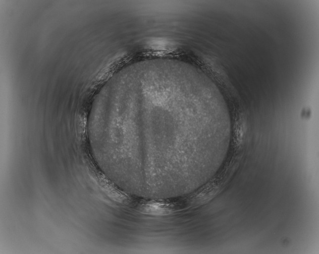 X0000114390657200911061516