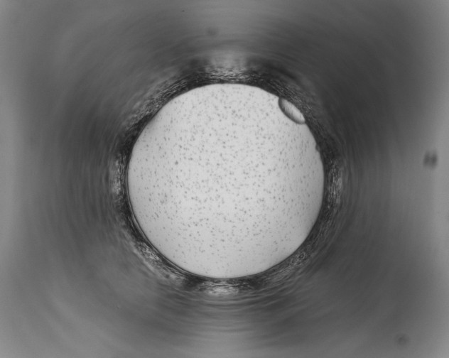 X0000114390658200911061516