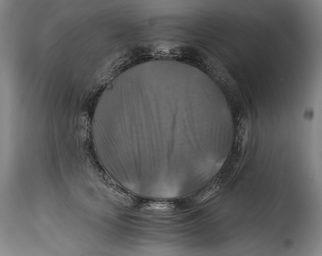 X0000114390659200911061516