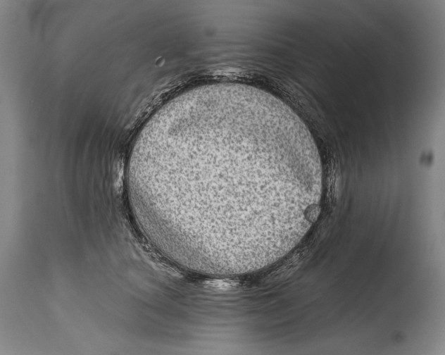 X0000114390660200911061516