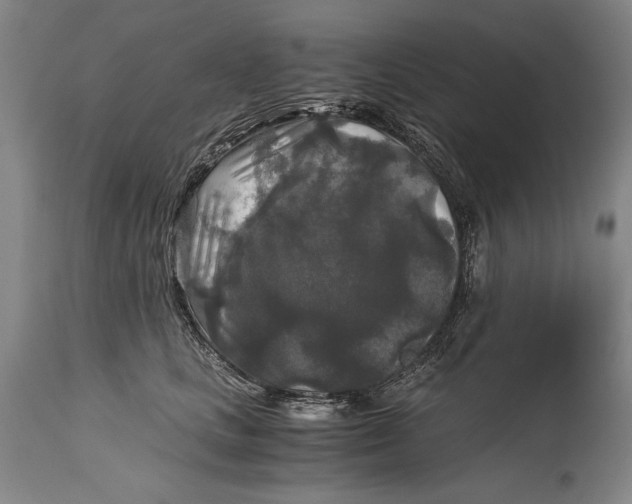 X0000114390661200911061516