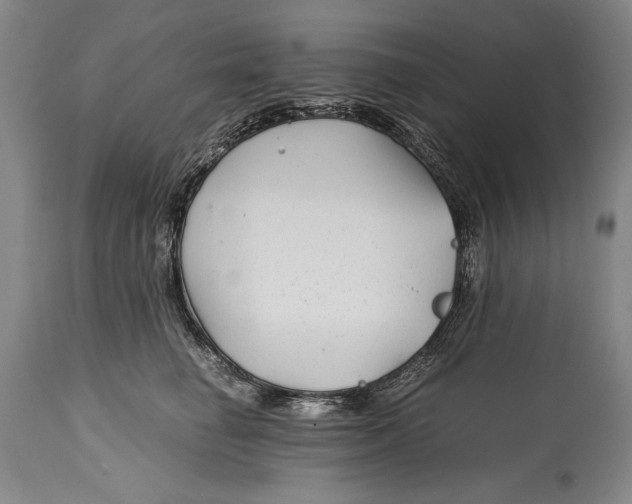 X0000114390662200911061516