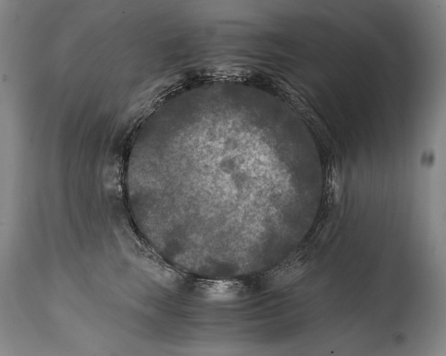 X0000114390663200911061516
