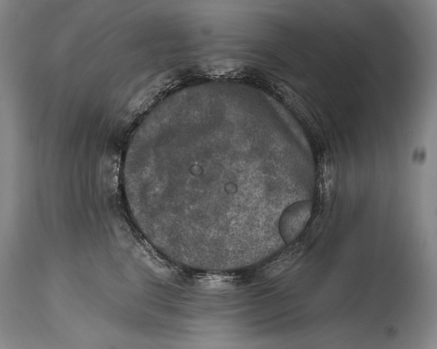 X0000114390664200911061516