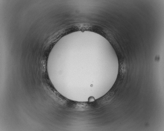X0000114390666200911061516