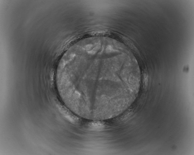 X0000114390668200911061516