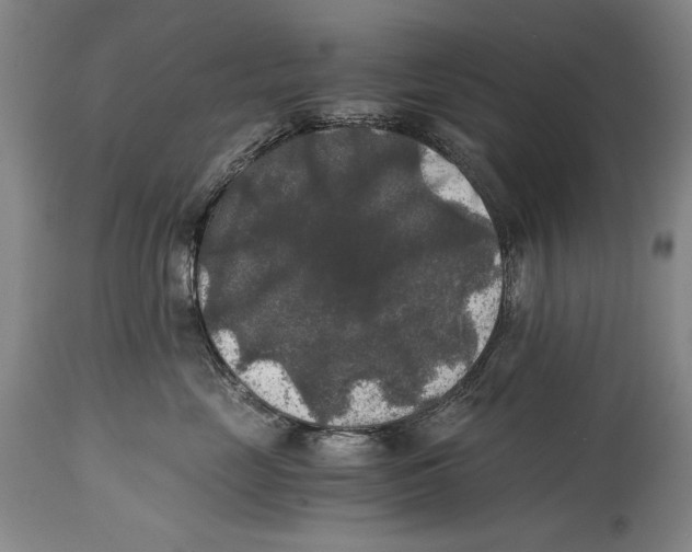 X0000114390669200911061516