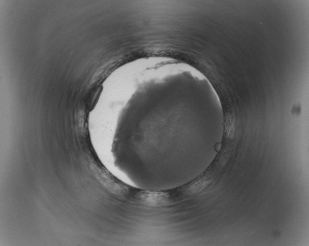 X0000114390670200911061516