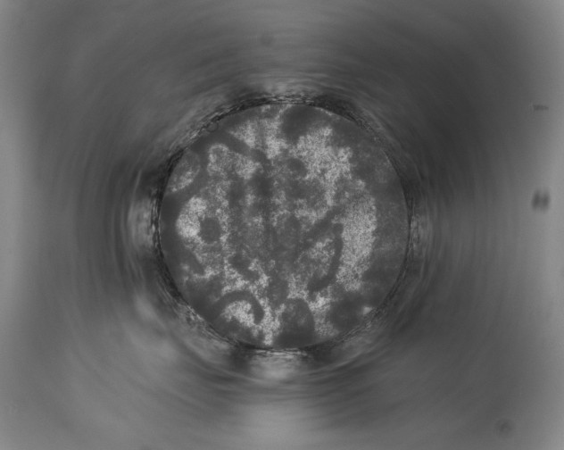 X0000114390671200911061516