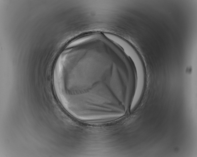 X0000114390673200911061515