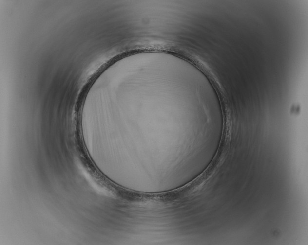 X0000114390674200911061515