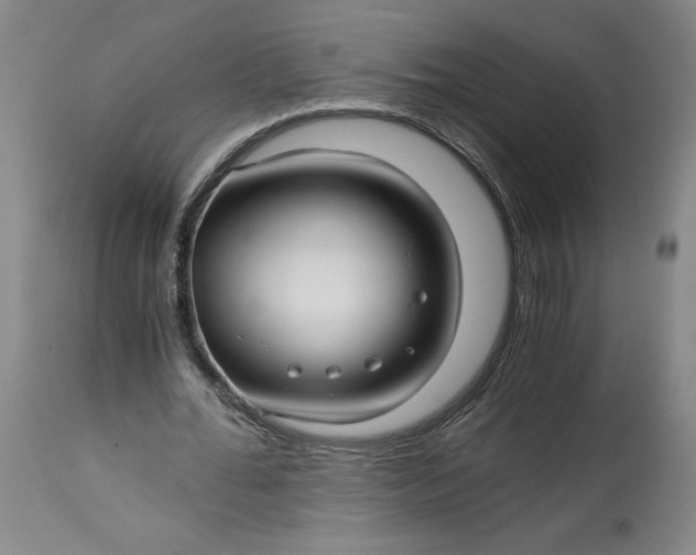 X0000114390676200911061515