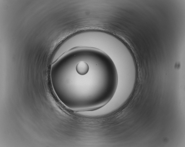 X0000114390677200911061515