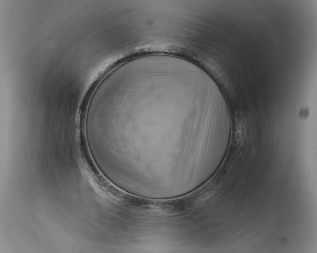 X0000114390678200911061515