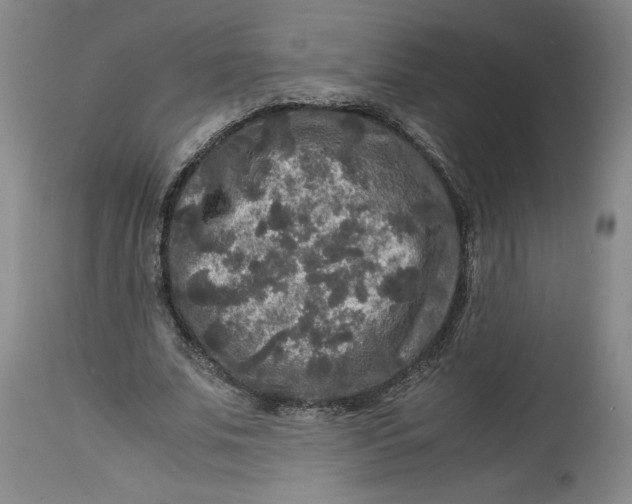 X0000114390679200911061515