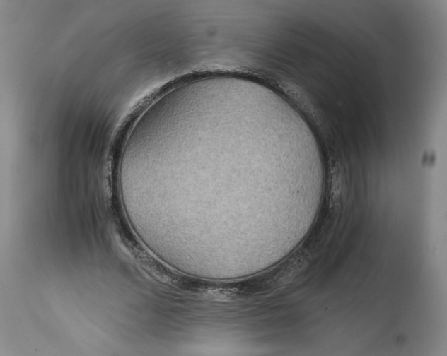 X0000114390680200911061515