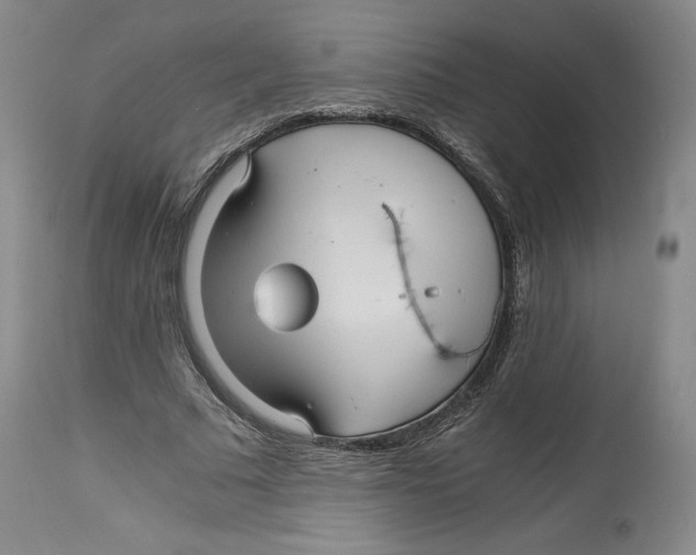 X0000114390681200911061515