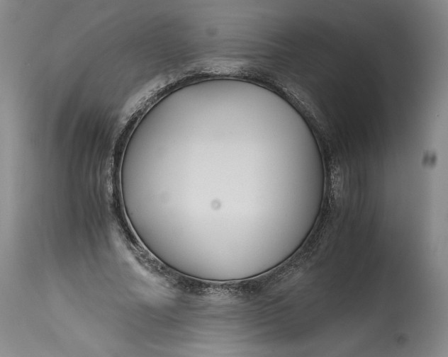 X0000114390682200911061515