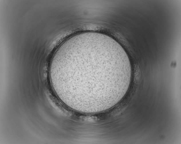 X0000114390683200911061515