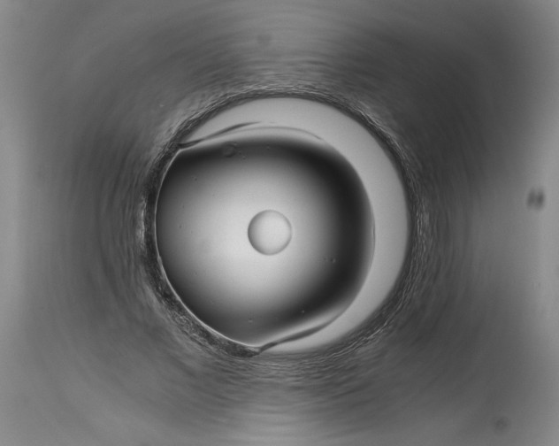 X0000114390685200911061515