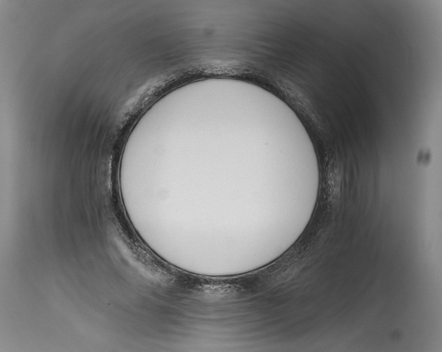 X0000114390686200911061515